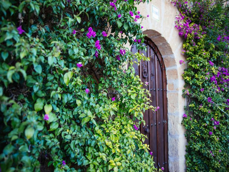 Hotel Es Lloquet (Adults Only) Campos (Mallorca) Exterior foto